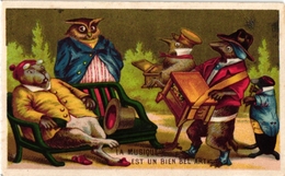 Carte Chromo Music Instr  Orgue DeBarbarieRotary Organ Leierkasten Anthropomorph  PUB   Litho Lessertisseux Owl  UIL - Animals