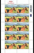 IJsland / Iceland - Postfris / MNH - Sheet Toerisme 2017 - Unused Stamps