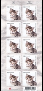 IJsland / Iceland - Postfris / MNH - Sheet Jonge Dieren 2017 - Unused Stamps