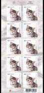 IJsland / Iceland - Postfris / MNH - Sheet Jonge Dieren 2017 - Neufs