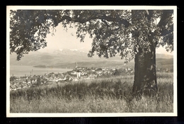 Thalwil G. Den Glarnisch / Postcard Circulated, 2 Scans - Thal