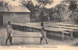 GABON / Ogooué - Séchage Du Cacao - Gabon