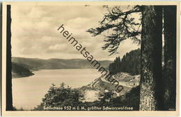 Schluchsee - Foto-Ansichtskarte - Schluchsee