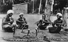 CEYLAN / Snake Charmers - Sri Lanka (Ceylon)