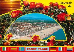 PIE-17-F-CH.2038 :  CANET DU ROUSSILLON - Canet En Roussillon