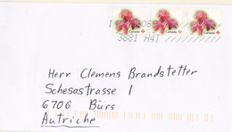 Blume - Siehe Scan     (R098) - Cartas & Documentos