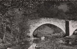 CPA 43 SAINT DIDIER EN VELAY  Pont De Clare - Saint Didier En Velay