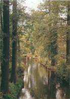 CPM - SPREEWALD : Dolzke-Fliess - Burg (Spreewald)