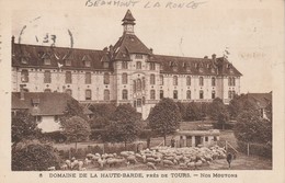 37 - BEAUMONT LA RONCE - Domaine De La Haute Barde - Nos Moutons - Beaumont-la-Ronce