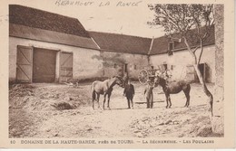 37 - BEAUMONT LA RONCE - Domaine De La Haute Barde - Les Poulains - Beaumont-la-Ronce