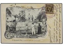 COLONIAS ESPAÑOLAS: FERNANDO POO. Ed.6. 1906. RIO DE ORO A CANARIAS. Tarjeta Postal Circulada Con Sello De... - Altri & Non Classificati