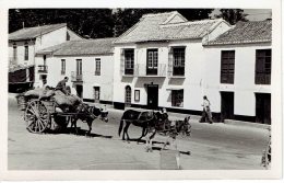 Visita De Torremolinos (malaga) La Galeria Attelage D'anes - Malaga