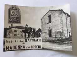 Saluti Dal Santuario Di Madonna Dei Boschi (B.V. Di S. Luca, Animata - Cartolina FG BN NV - Bologna
