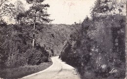 SAINT-GILLES-VIEUX-MARCHE. - Un Joli Coin De La Vallée De Poulancre. CPSM 9x14 - Saint-Gilles-Vieux-Marché