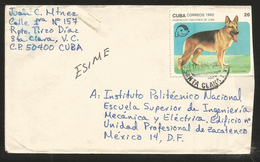 J) 1999 CUBA- CARIBE, GERMAN SHEPHERD DOG, FOR ESIME, HIGHER SCHOOL OF MECHANICAL AND ELECTRICAL, CIRCULATED COVER, FROM - Lettres & Documents