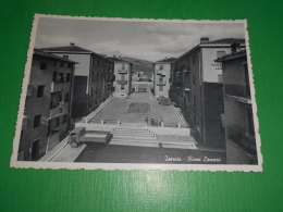 Cartolina Isernia - Rione Lamaro 1950 Ca. - Isernia