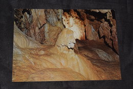 Grottes De Vallorbe Le Bison Vierge (10) - Vallorbe