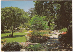 Durban - Mitchell Park - Natal - (South-Africa) - South Africa