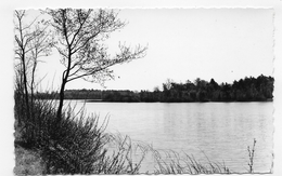 ENVIRONS D' OUZOUER SUR LOIRE - ETANG DU GUE LEVEQUE - FORMAT CPA VOYAGEE - Ouzouer Sur Loire