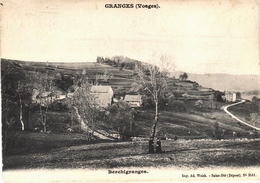Carte Postale Ancienne De GRANGES - Granges Sur Vologne
