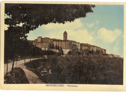 MONTECCHIO ( TERNI ) PANORAMA - EDIZ. SABATINI - 1955 ( 357 ) - Terni