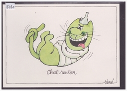 FORMAT 10x15cm - CHAT RENTON - PAR SINE - TB - Sine