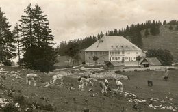 (26) CPA Cernier  Hotel Vue Des Alpes  (bon Etat) - Cernier