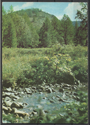 Mongolia, Landscape With A Gill, '60s.-'70s. - Mongolie