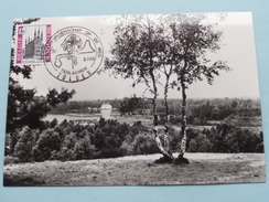 Panorama BOLDERBERG ( Wereldkampioenschap Op De Weg ) Zolder - Anno 5-7-69 ( Zie Foto ) !! - Heusden-Zolder