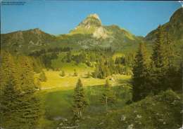 Delcampe - Gantrischseeli / Schweiz - Risch-Rotkreuz