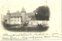 Chateau De Virieu Entree - Virieu
