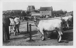 Herbignac - Le Champ De Foire - Herbignac