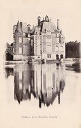 Château De La Bussière. Belle Carte Précurseur - Sonstige & Ohne Zuordnung