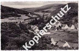 Münstereifel  1961  Otterbach  (z4034) - Bad Muenstereifel