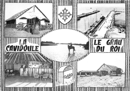 30-LE GRAU DU ROI- AUX PORTES DE LA CARMARGUES " LA CAVIDOULE " MULTIVUES - Le Grau-du-Roi