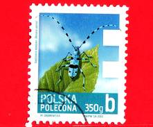 POLONIA - Usato - 2013 - Francobollo Posta Economica - 350g - Insetti - Cerambice Del Faggio - Rosalia Alpina - B - 350 - Used Stamps