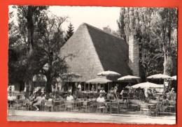 IBV-16  Park Im Grüene Rüschlikon ZH. Gelaufen In 1968. Terrasse Restaurant. Gross Format. - ZH Zurich