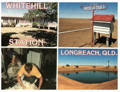 (851) Australia - QLD -  Longreach Whitehill Station - Far North Queensland