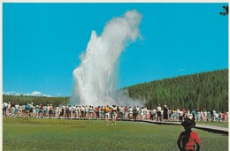 OLD FAITHFUL GEYSER - Other & Unclassified
