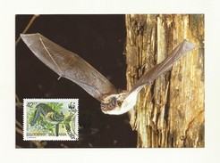 WWF BULGARIE  THEME  CHAUVES SOURIES/BATS - Pipistrelli