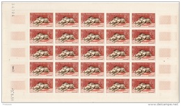 COTE FRANCAISE DES SOMALIS - N°287/8/9 ** En Feuille De 25 (1958) - Unused Stamps
