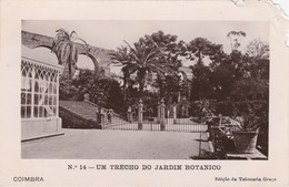POSTCARD PORTUGAL - COIMBRA - UM TRECHO DO JARDIM BOTANICO ( CORNER DEMAG ) - Coimbra