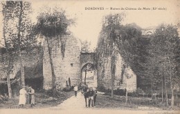 Dordives 45 - Ruines Du Château Du Metz - Dordives