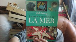 Le Monde Merveilleux De La Mer Walt Disney Hachette - Disney