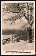 A3374 - Alte Foto Ansichtskarte - Rehefeld - Blick N. Grenzbaude U. Ehemaliger Landesgrenze - Adam - TOP - Rehefeld