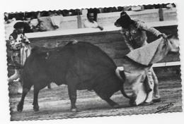 CPSM - Antonio Ordoñez - Lance De Cape - Taureaux