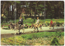 GERMANIA - GERMANY - Deutschland - ALLEMAGNE - BUNDESPOST - 1991 - 30 Weimar - Ueckermünde - Tierpark, Asini, Bambini - - Ückermünde