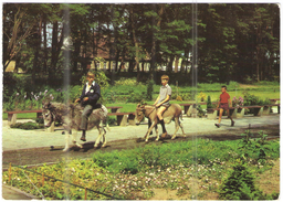 GERMANIA - GERMANY - Deutschland - ALLEMAGNE - BUNDESPOST - 1991 - 30 Weimar - Ueckermünde - Tierpark, Asini, Bambini - - Ueckermuende