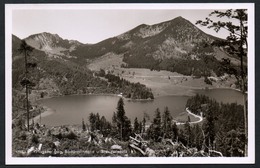 A3799 - Alte Foto Ansichtskarte - Spitzingsee Bodenschneid Brecherspitz - Georg Eitzenberger - TOP - Schliersee