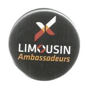 G-I-E, Badge , Diamétre : 5.5 Cms , LIMOUSIN Ambassadeurs , 2 Scans , Frais Fr : 1.95€ - Autres & Non Classés